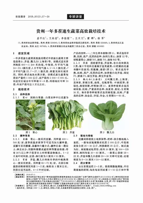 贵州一年多茬速生蔬菜高效栽培技术