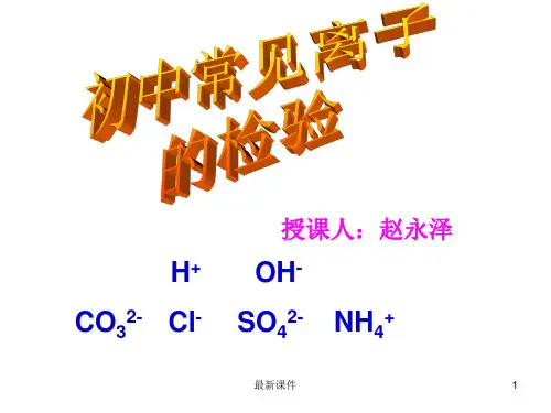 常见离子的检验PPT课件