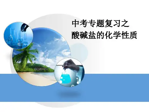 中考化学专题复习之《酸碱盐的化学性质》课件ppt