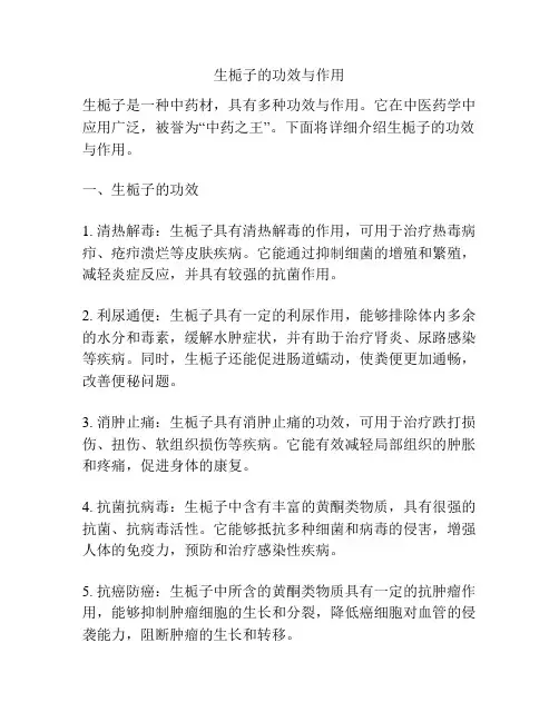 生栀子的功效与作用