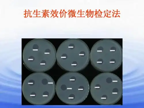抗生素效价的测定