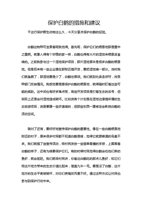 保护白鹤的措施和建议