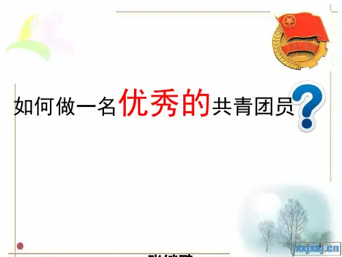 如何做一名优秀的共青团员参考PPT