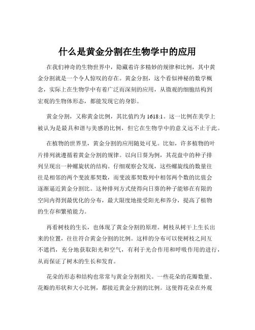 什么是黄金分割在生物学中的应用