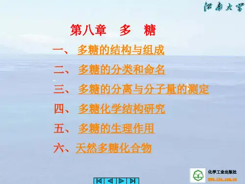 第9章 多糖  ppt课件