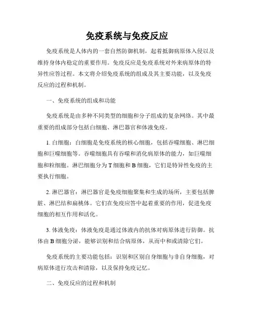 免疫系统与免疫反应