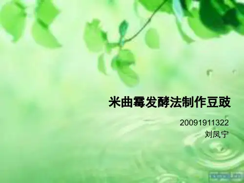 米曲霉发酵法制作豆豉