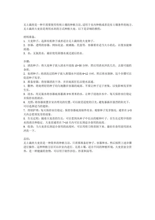 无土栽培大麦苗的教程
