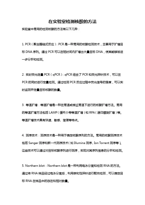 在实验室检测核酸的方法