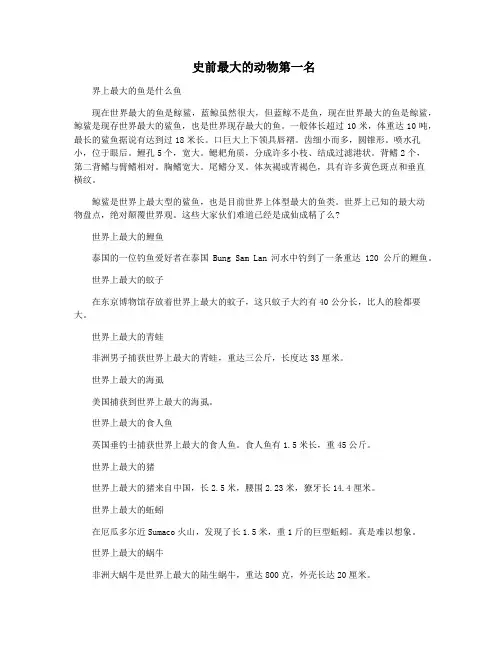 史前最大的动物第一名