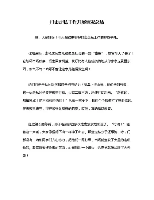 打击走私工作开展情况总结