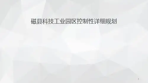 控制性详细规划 汇报版ppt课件