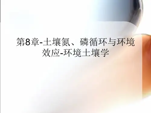 第8章-土壤氮、磷循环与环境效应-环境土壤学