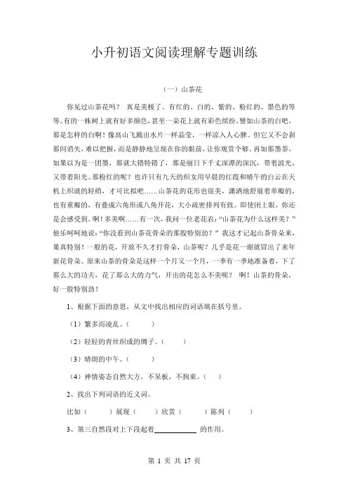 小升初语文阅读理解专题训练