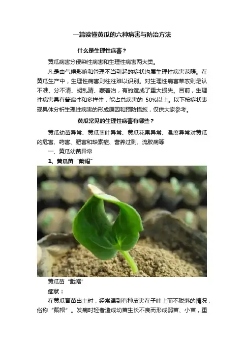 一篇读懂黄瓜的六种病害与防治方法