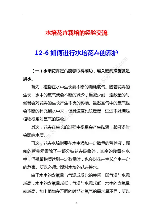 水培花卉技术培训讲义-经验谈-12-6如何进行水培花卉的养护
