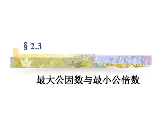 最大公因数和最小公倍数.ppt