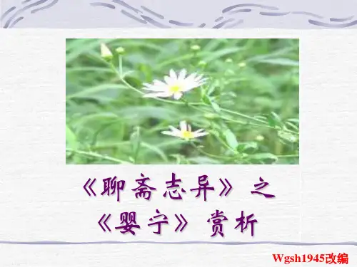婴宁PPT课件 鲁教版
