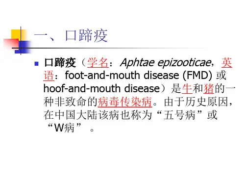 口蹄疫及其防治PPT课件
