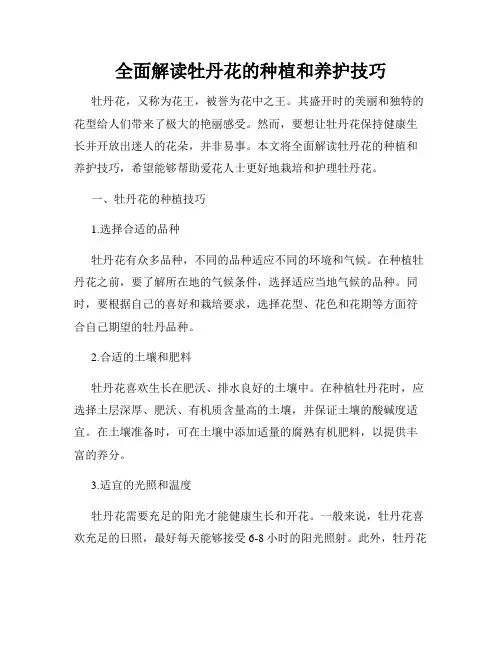 全面解读牡丹花的种植和养护技巧
