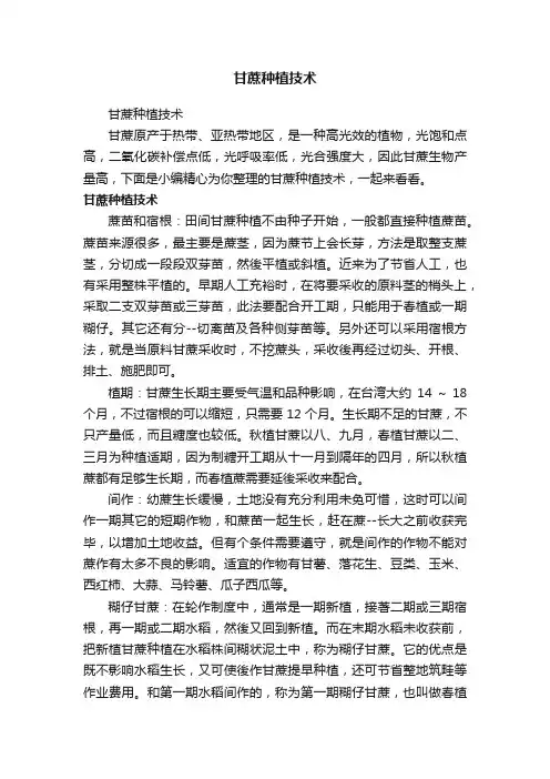 甘蔗种植技术