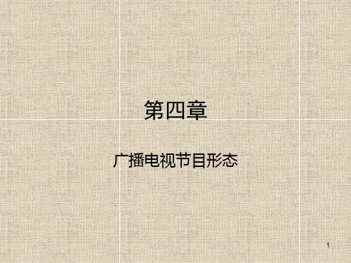 广播电视节目形态