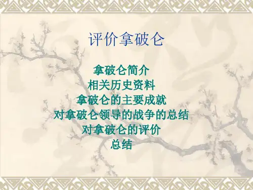 评价拿破仑
