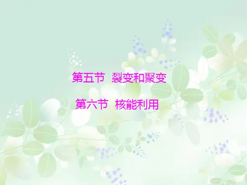 核能利用PPT精品课件