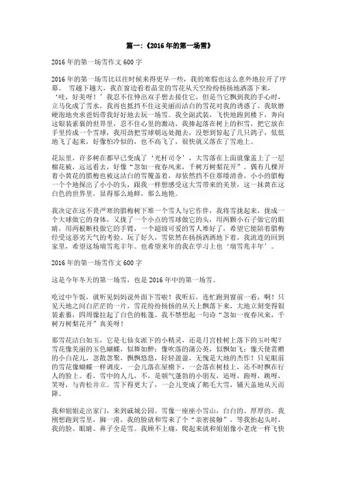 2016年第一场大雪作文