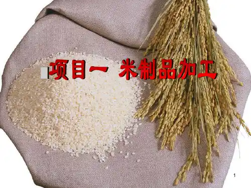 任务一 稻谷制米