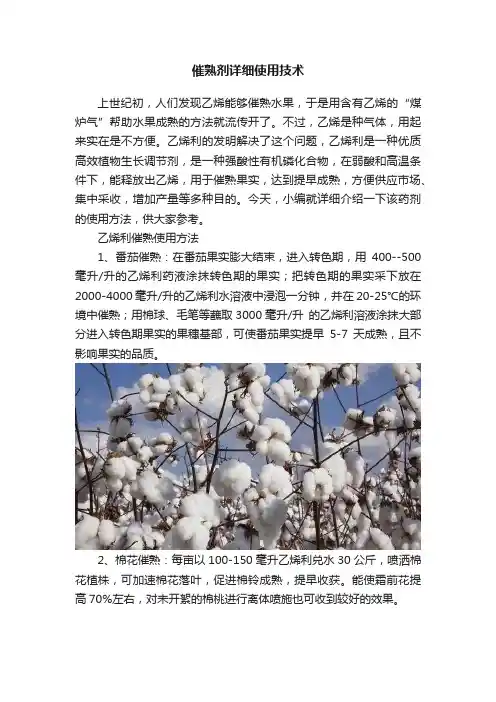 催熟剂详细使用技术