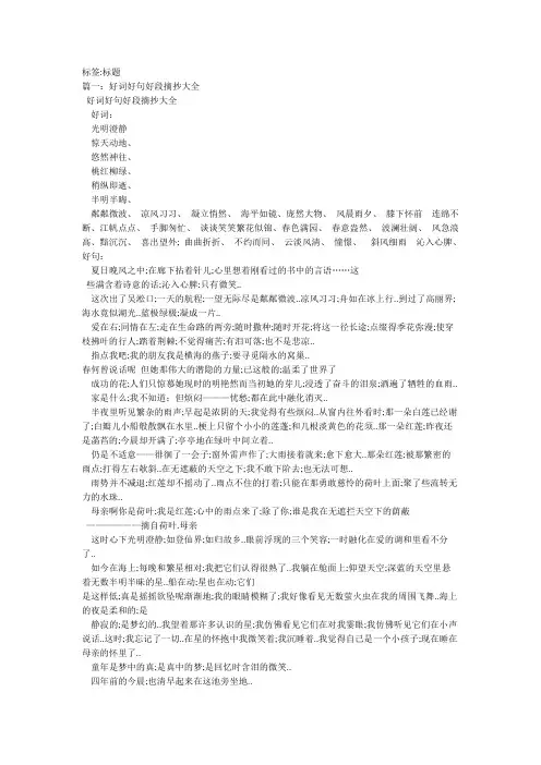 老人与海好词好句好段摘抄