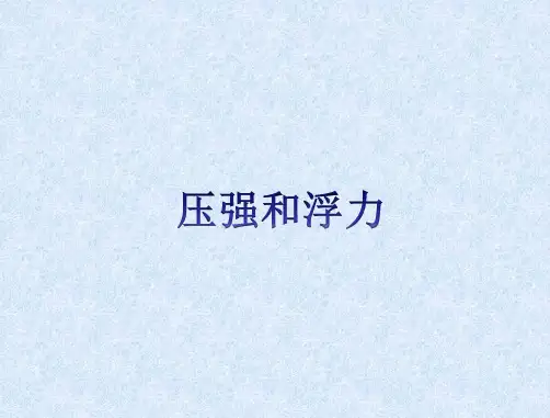 2024年中考总复习物理课件 第八章 压强和浮力_1