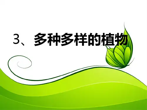 《多种多样的植物》PPT优秀课件下载1