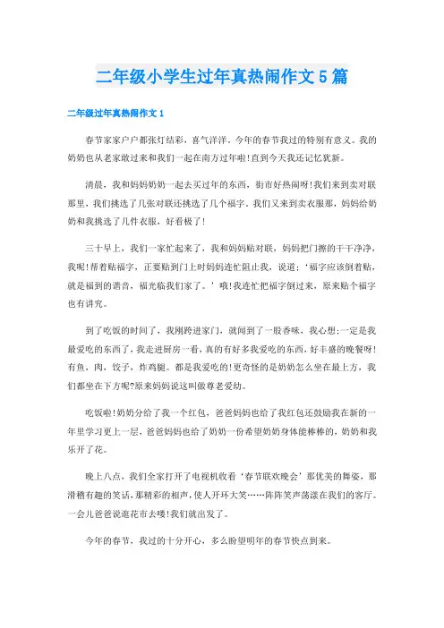 二年级小学生过年真热闹作文5篇