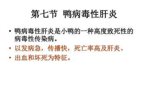 七、鸭病毒性肝炎