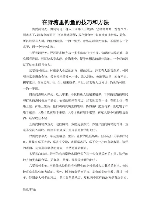 在野塘里钓鱼的技巧和方法