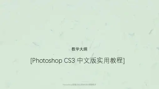 PhotoShop图像的色调和色彩调整精讲课件