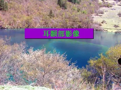 耳颞部影像