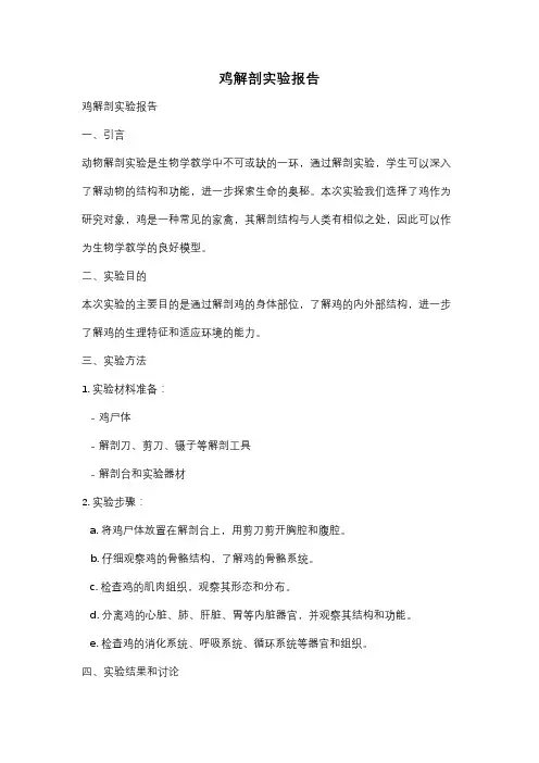 鸡解剖实验报告