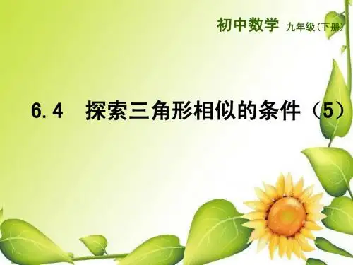 (苏科版)九年级下册：6.4《探索三角形相似的条件(5)》ppt课件