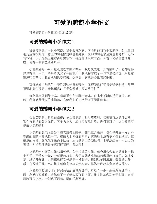 可爱的鹦鹉小学作文