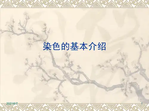 染色的基本知识