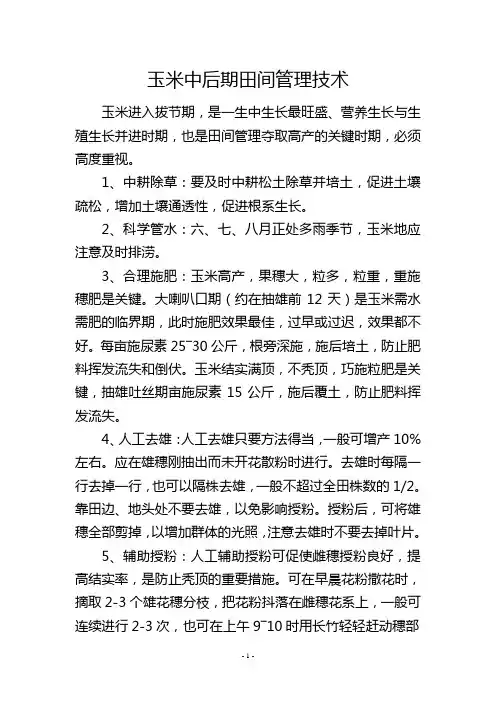 玉米中后期田间管理技术