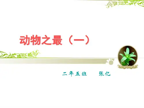 动物之最1课件