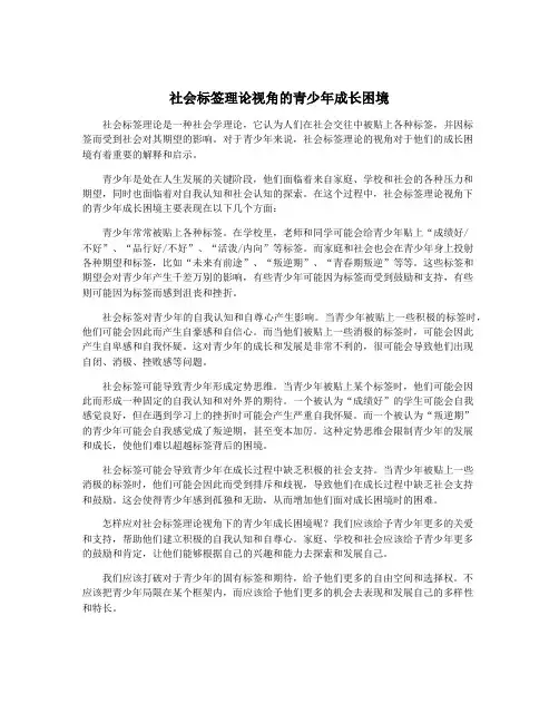 社会标签理论视角的青少年成长困境