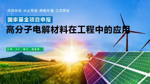 国家基金项目申报课题项目立项申报模板