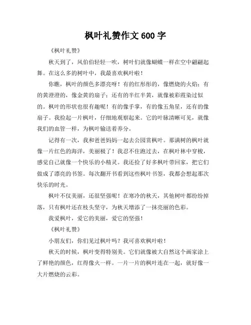 枫叶礼赞作文600字