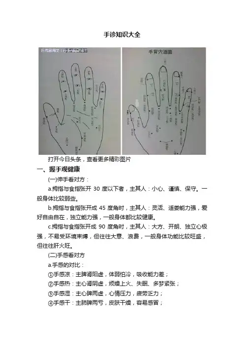 手诊知识大全