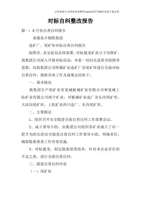 对标自纠整改报告
